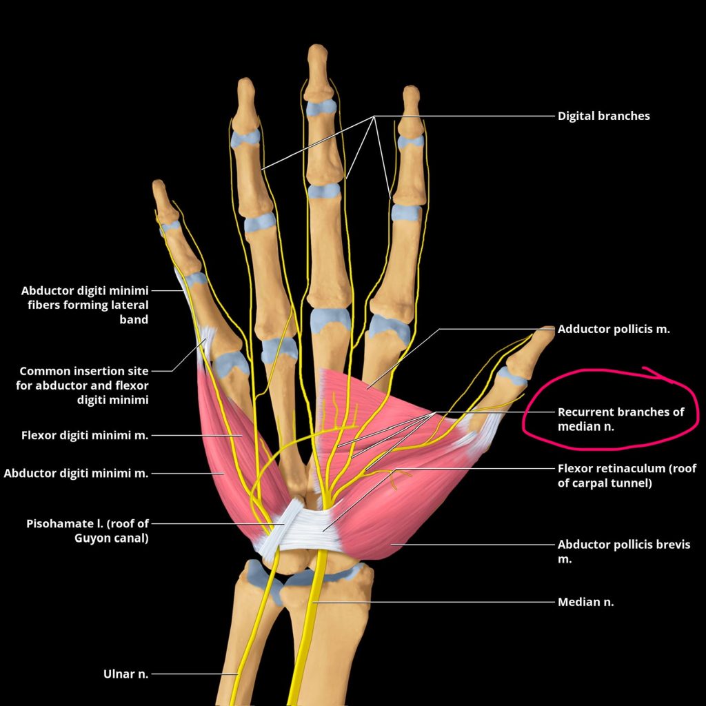 Carpal Tunnel Syndrome